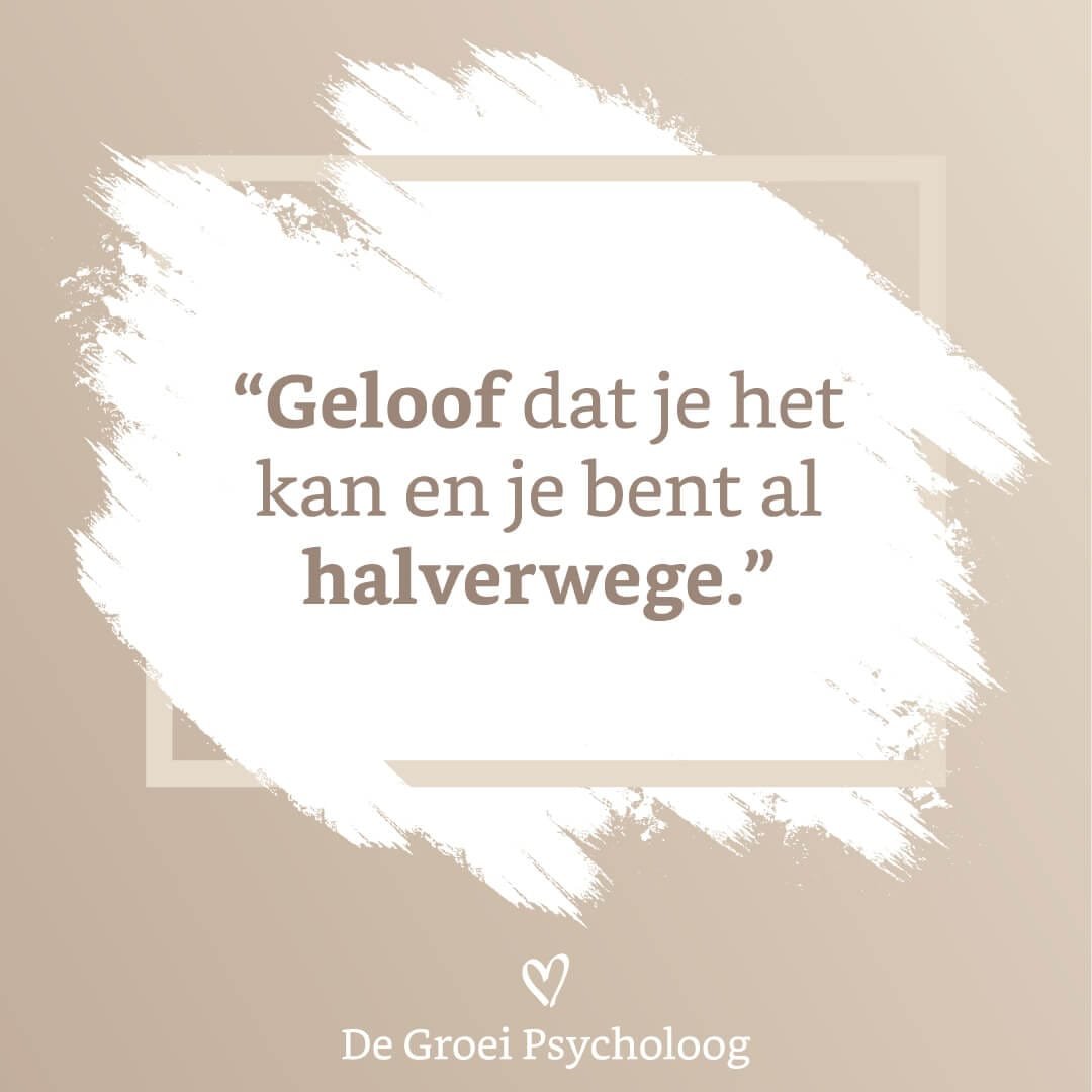 zelfvertrouwen quotes Geloof dat je het kan en je bent al halverwege zelfvertrouwen quotes Geloof dat je het kan en je bent al halverwege